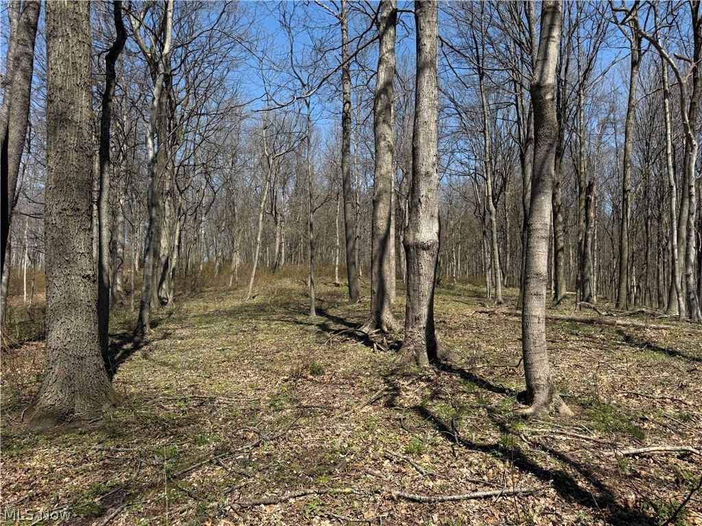 0 Kragel Road Wintersville OH 43953