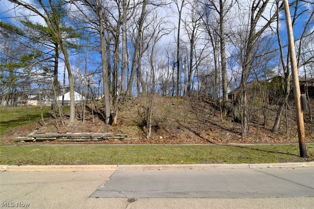Meadowbrook Boulevard Cleveland Heights OH 44118