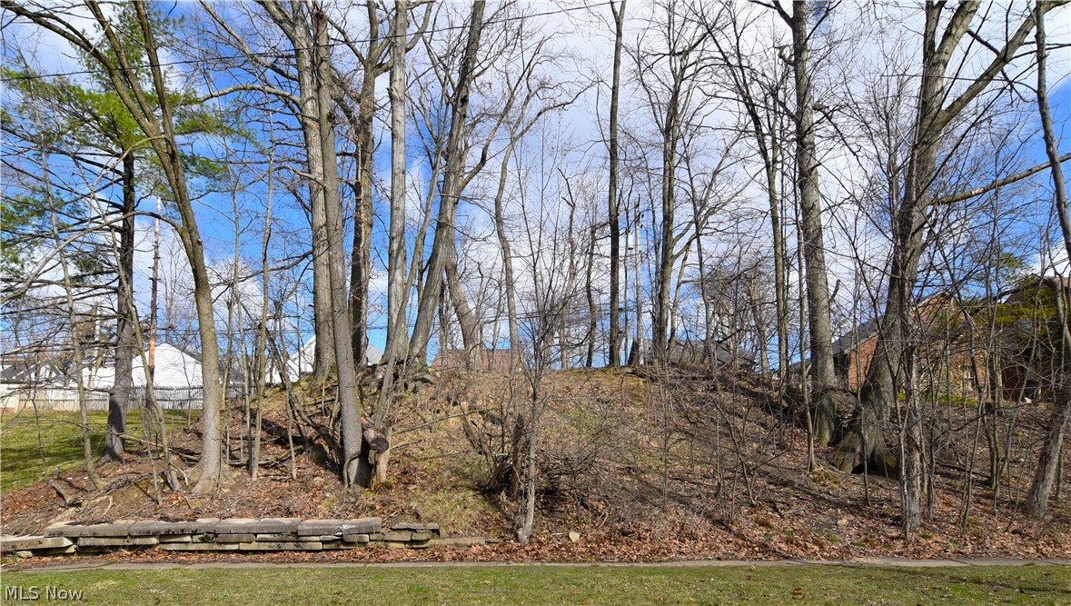 Meadowbrook Boulevard Cleveland Heights OH 44118