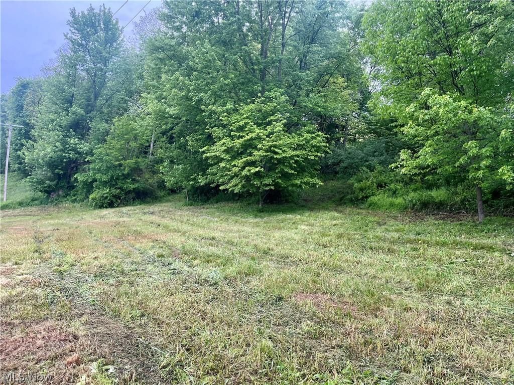 10280 Morges Drive Waynesburg OH 44688