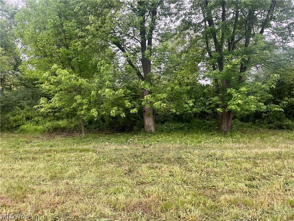 10280 Morges Drive Waynesburg OH 44688