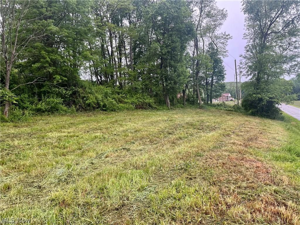 10280 Morges Drive Waynesburg OH 44688
