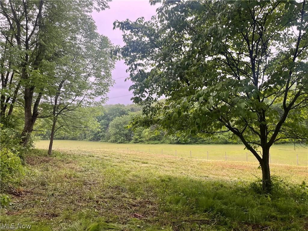10280 Morges Drive Waynesburg OH 44688