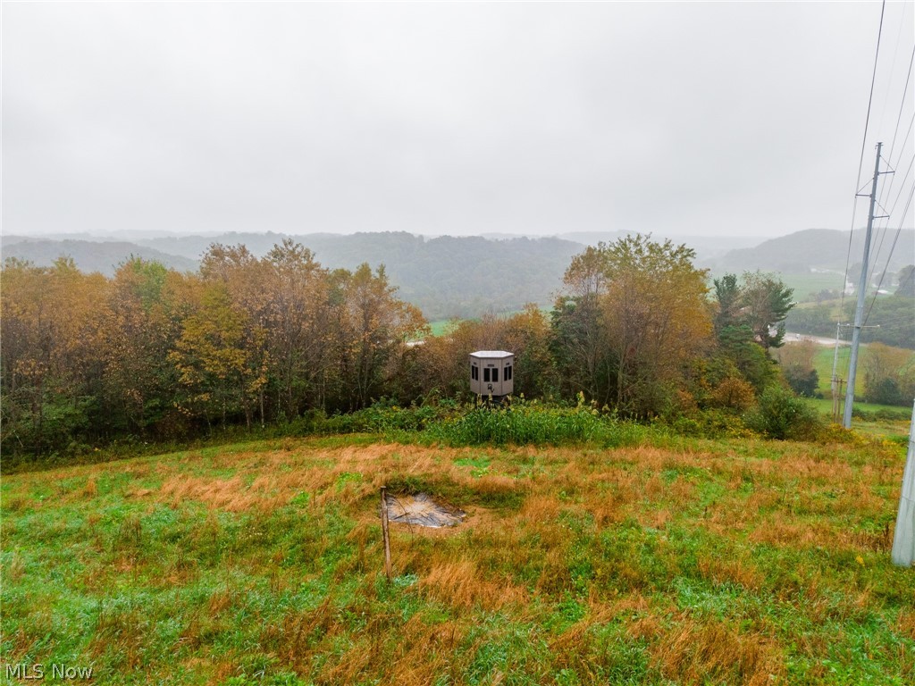 87788 New Rumley Road Jewett OH 43986