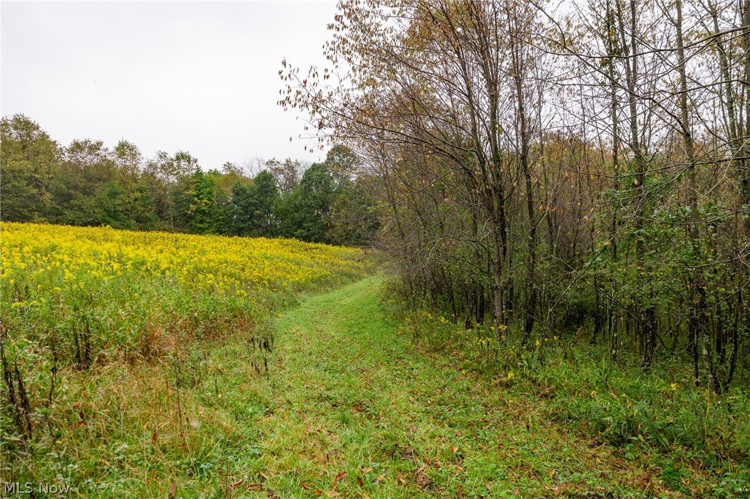 87788 New Rumley Road Jewett OH 43986