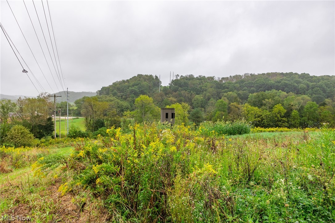 87788 New Rumley Road Jewett OH 43986