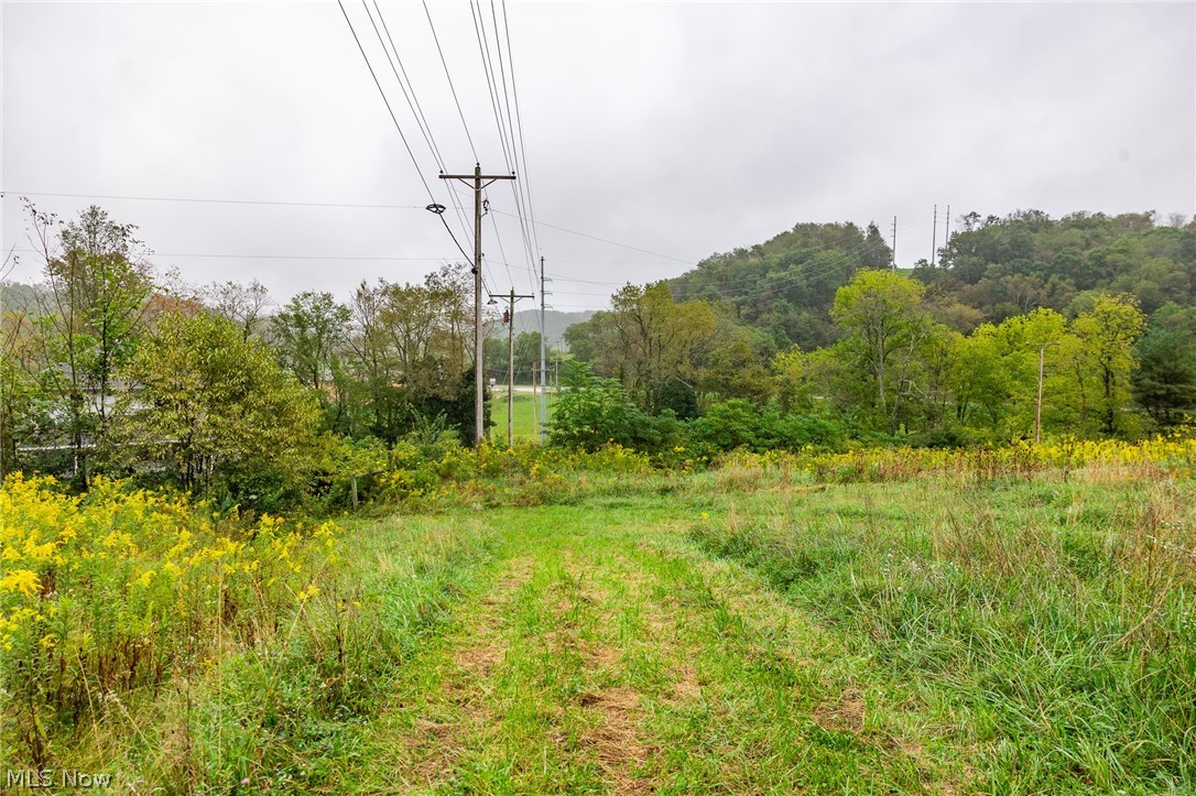 87788 New Rumley Road Jewett OH 43986
