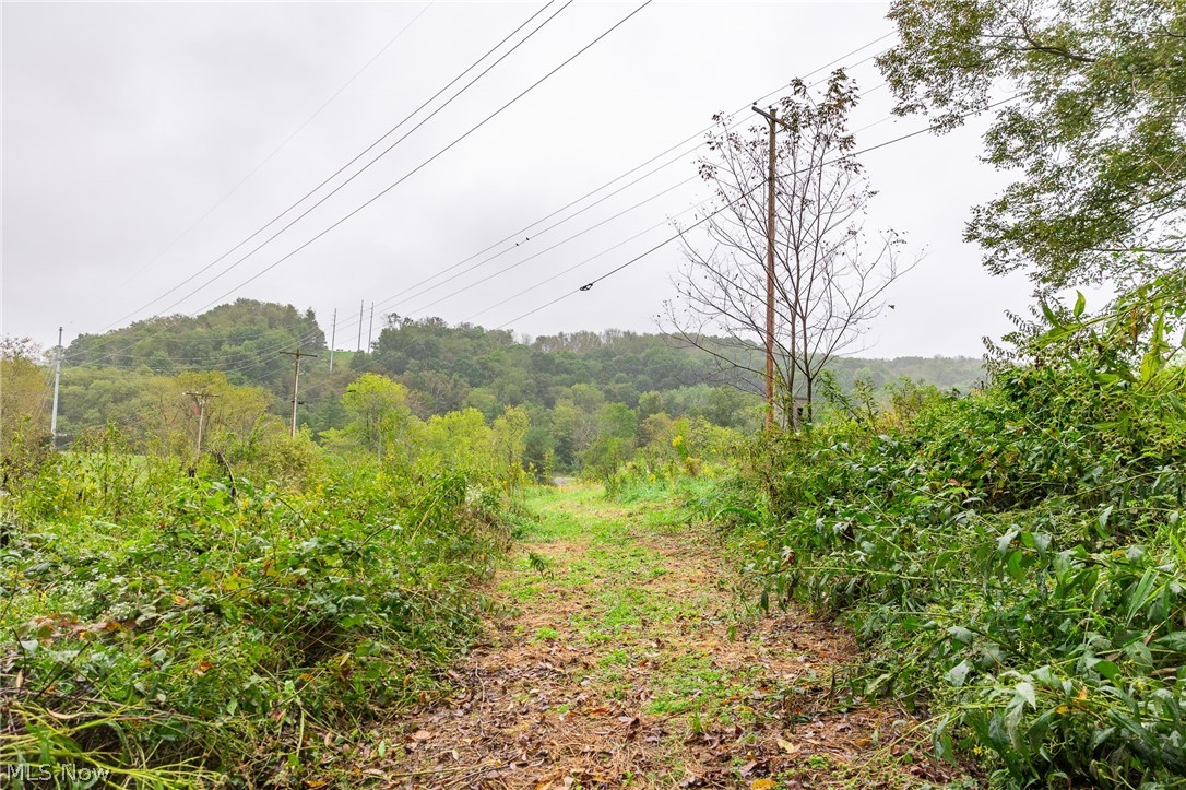 87788 New Rumley Road Jewett OH 43986