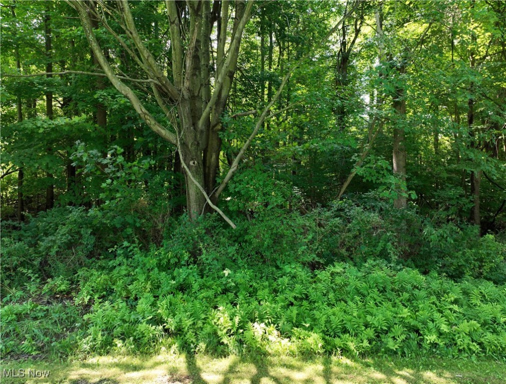 Indianola Drive Madison OH 44057