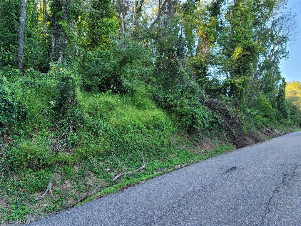 0 Grandview Rayland OH 43943