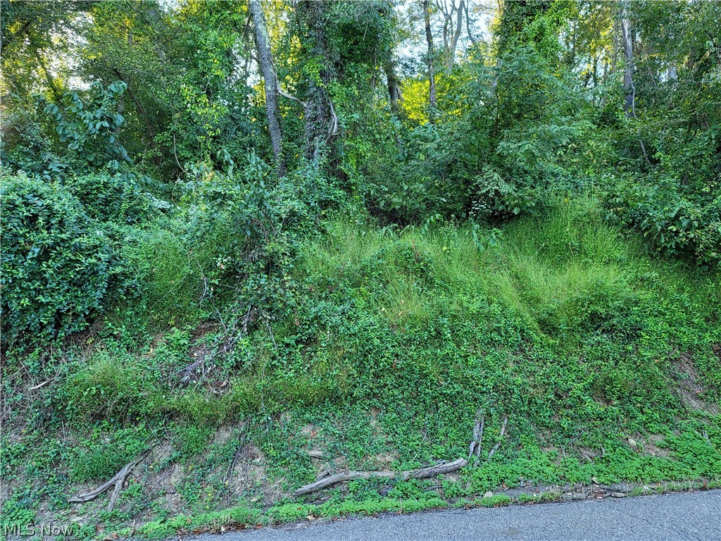0 Grandview Rayland OH 43943