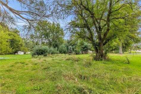 Chestnut Ridge Road Elyria OH 44035