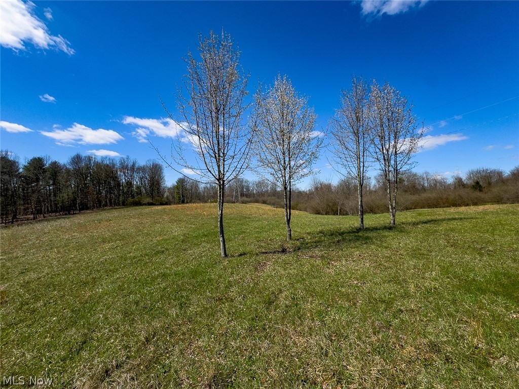 6880 Shaver Road Blue Rock OH 43720