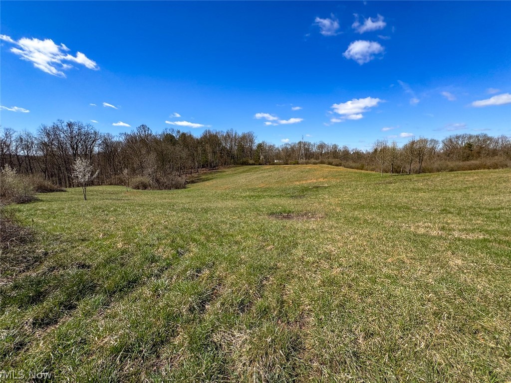 6880 Shaver Road Blue Rock OH 43720