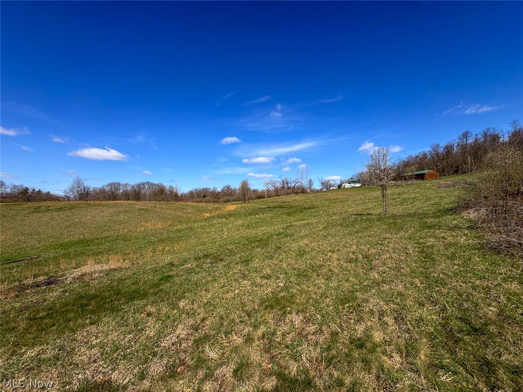 6880 Shaver Road Blue Rock OH 43720