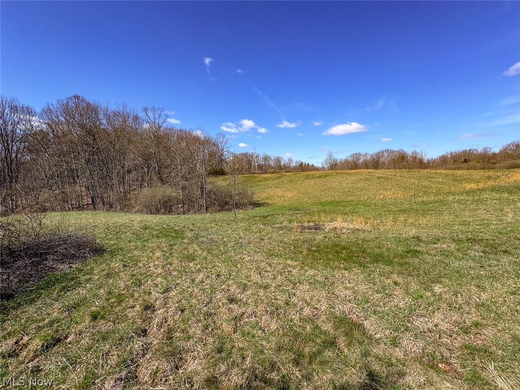 6880 Shaver Road Blue Rock OH 43720