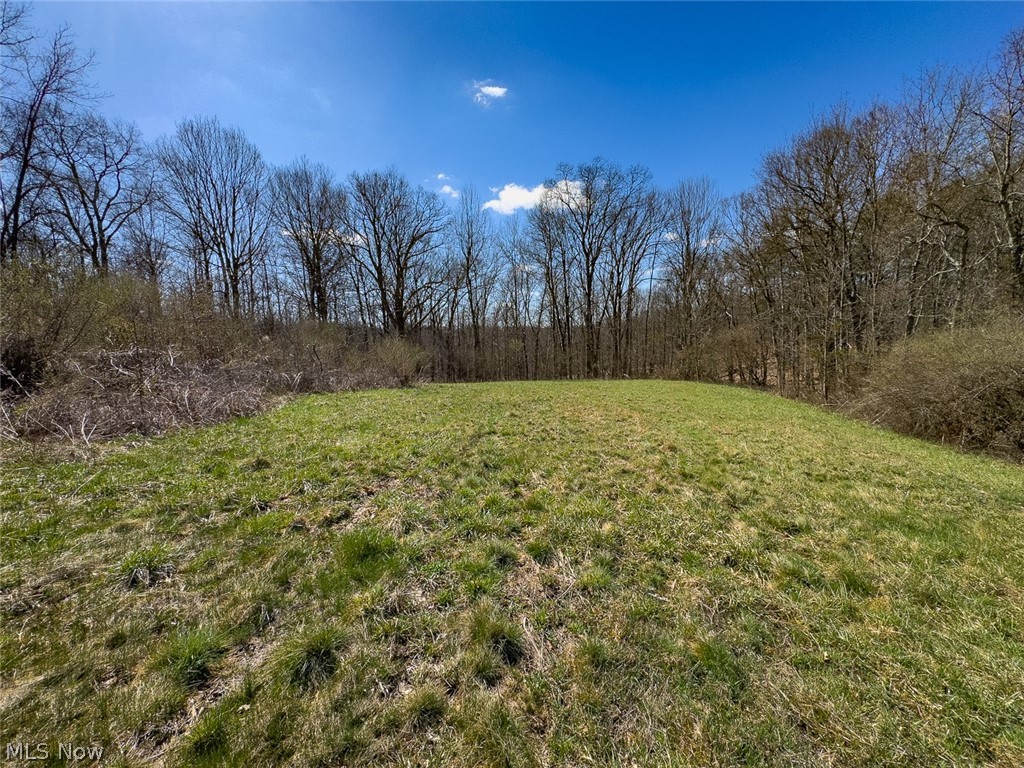 6880 Shaver Road Blue Rock OH 43720