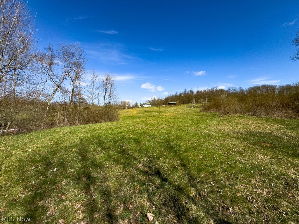 6880 Shaver Road Blue Rock OH 43720