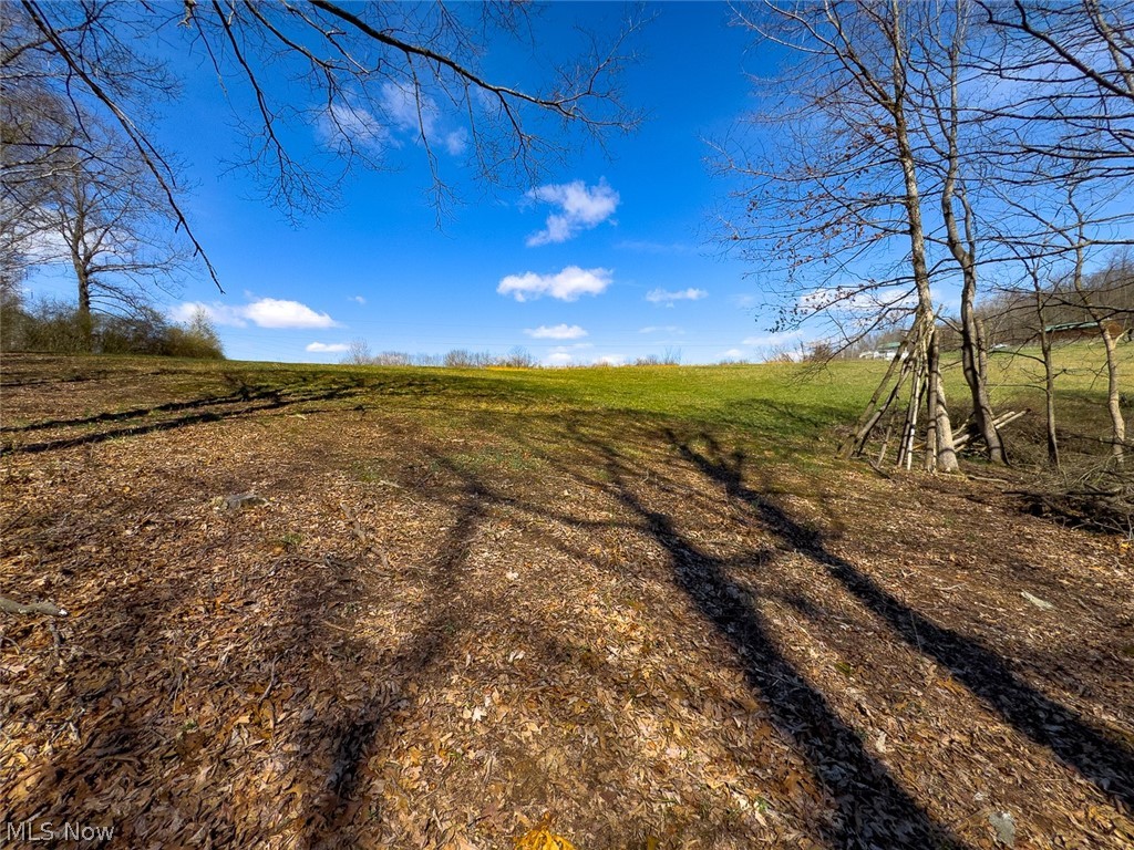 6880 Shaver Road Blue Rock OH 43720