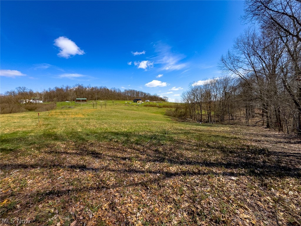 6880 Shaver Road Blue Rock OH 43720