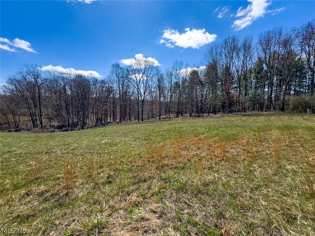 6880 Shaver Road Blue Rock OH 43720
