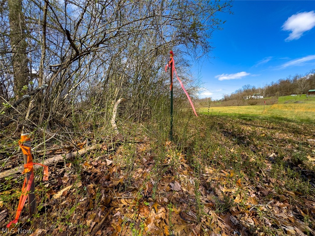 6880 Shaver Road Blue Rock OH 43720
