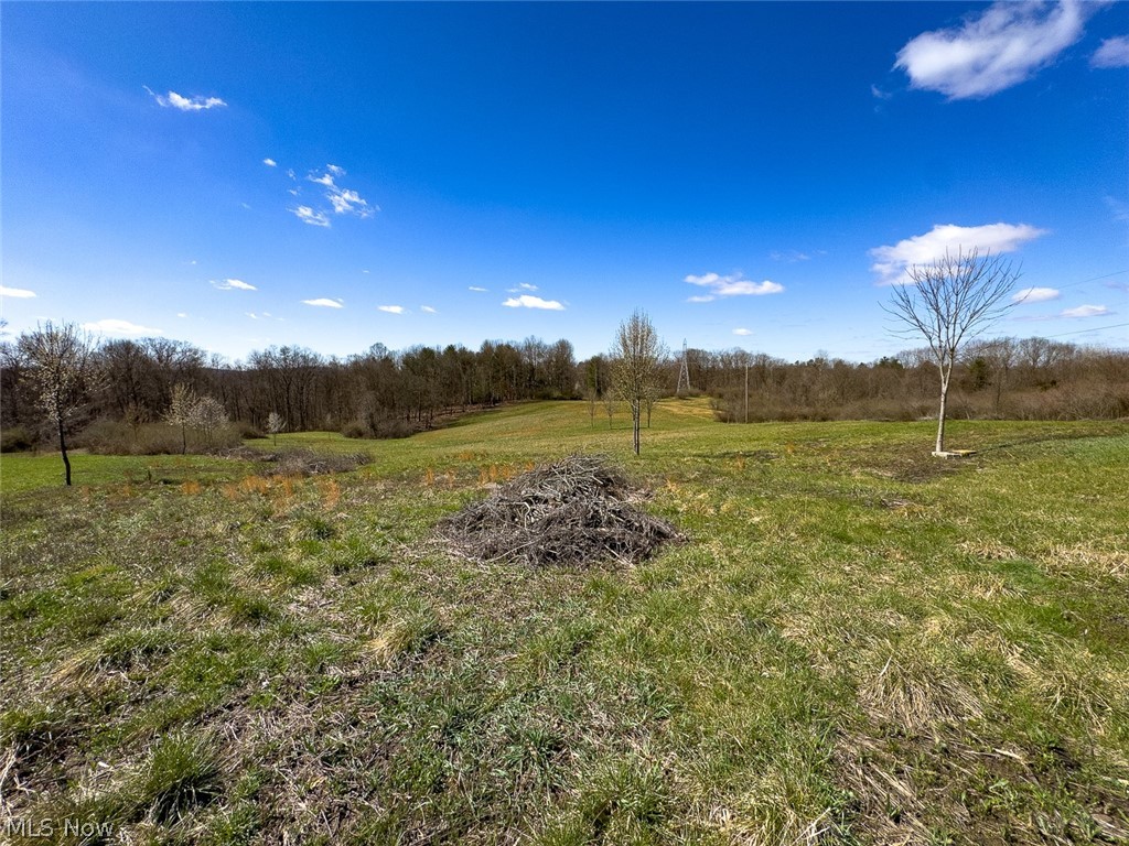 6880 Shaver Road Blue Rock OH 43720