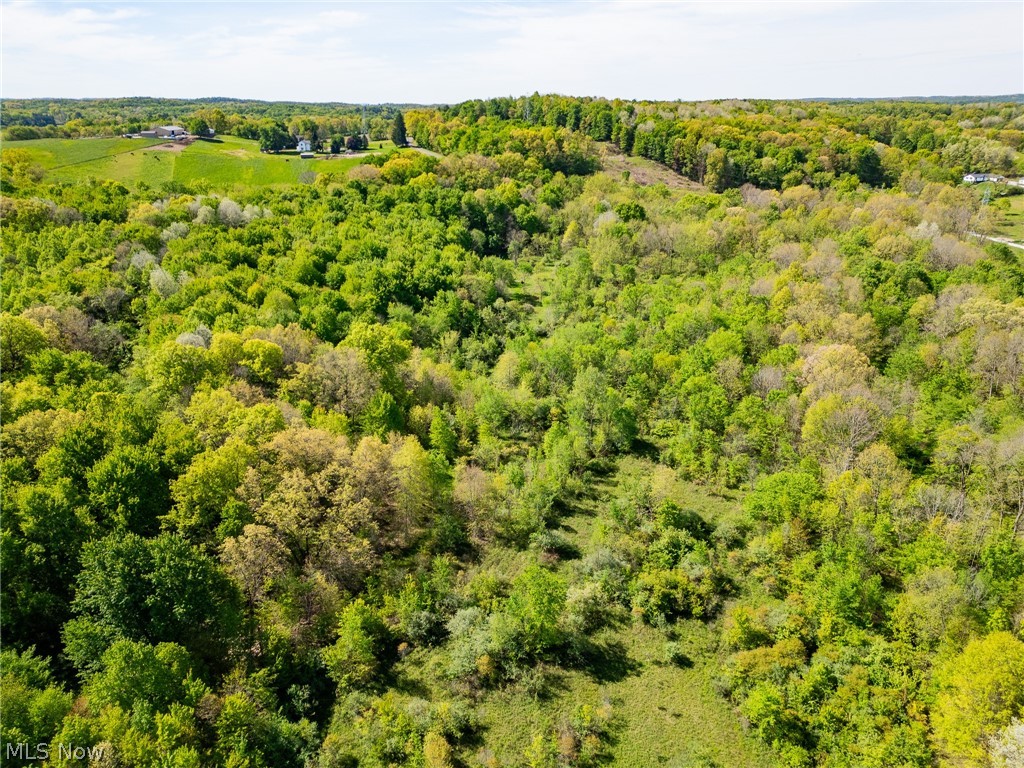11154 Shetler Avenue SW Bolivar OH 44612