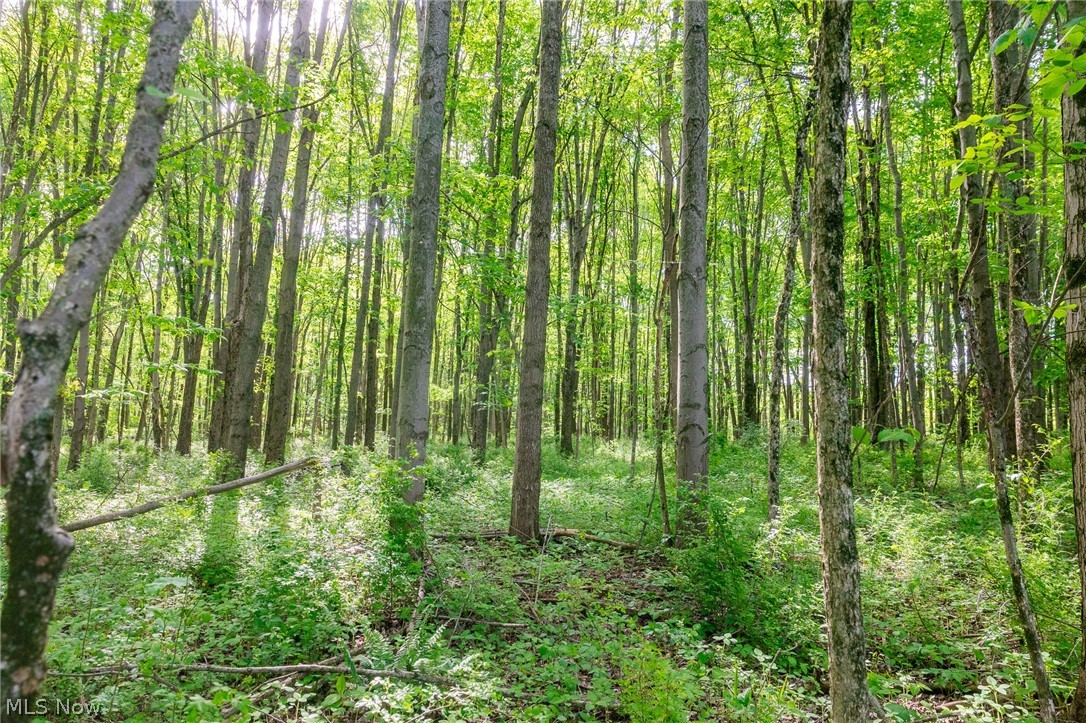 11154 Shetler Avenue SW Bolivar OH 44612