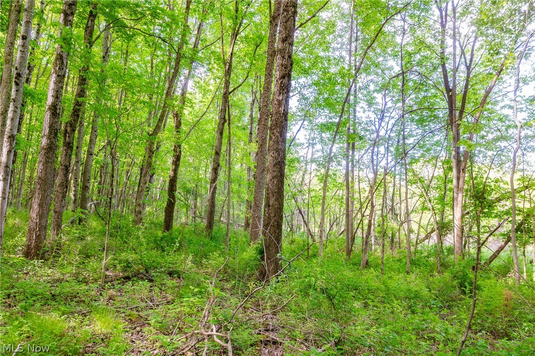 11154 Shetler Avenue SW Bolivar OH 44612