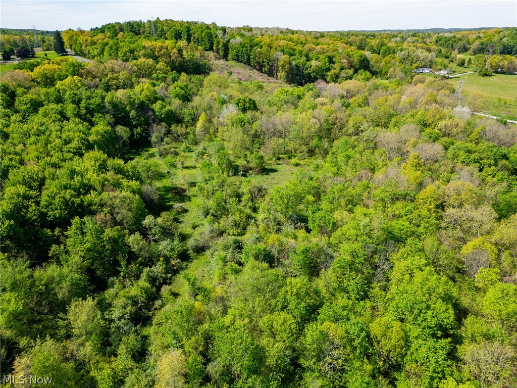 11154 Shetler Avenue SW Bolivar OH 44612