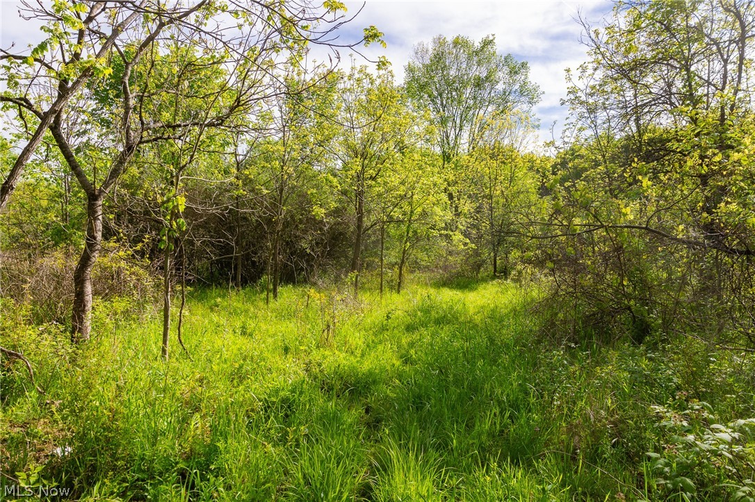 11154 Shetler Avenue SW Bolivar OH 44612