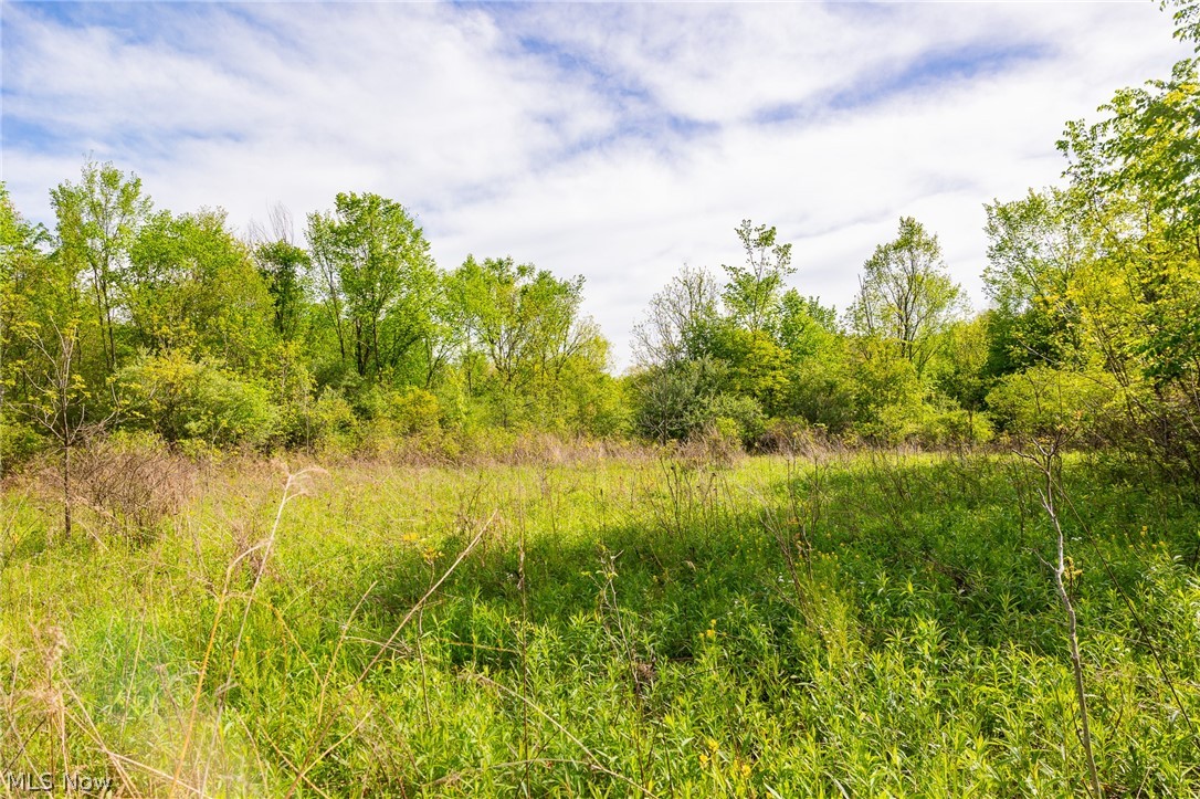 11154 Shetler Avenue SW Bolivar OH 44612