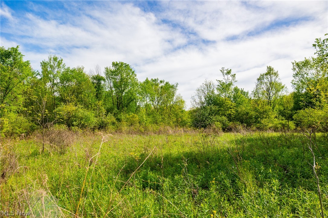 11154 Shetler Avenue SW Bolivar OH 44612