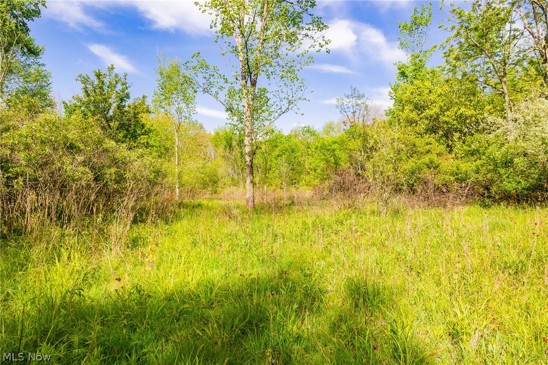11154 Shetler Avenue SW Bolivar OH 44612