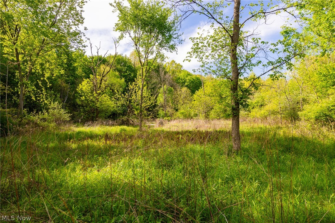 11154 Shetler Avenue SW Bolivar OH 44612