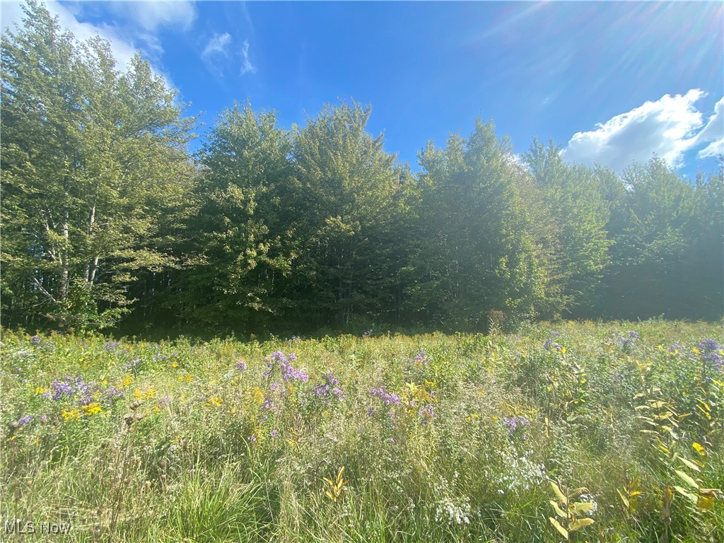Bates Road Madison OH 44057