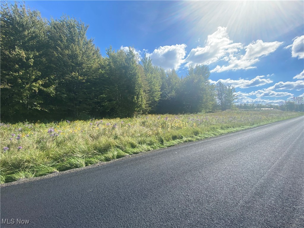 Bates Road Madison OH 44057
