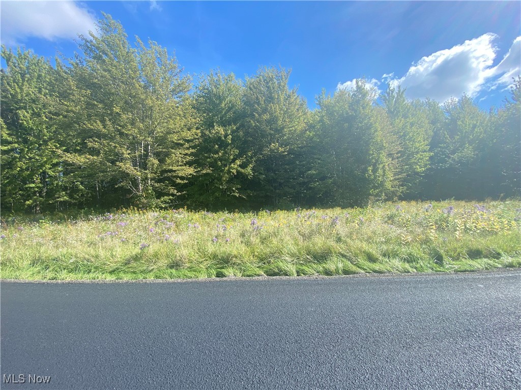 Bates Road Madison OH 44057