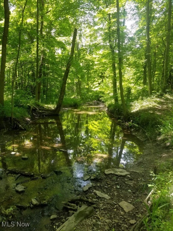 Bates Road Madison OH 44057