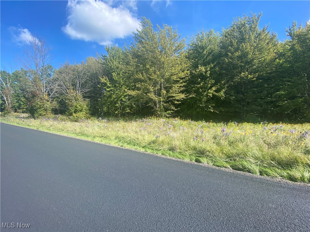 Bates Road Madison OH 44057
