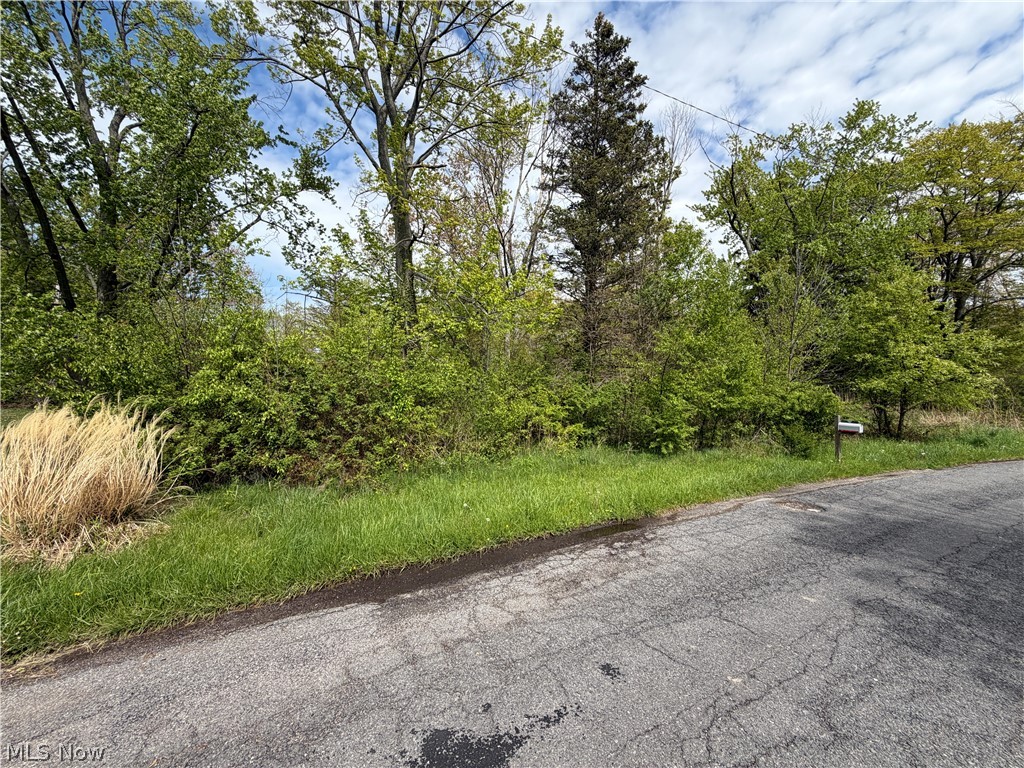 1445 Parkview Drive Madison OH 44057