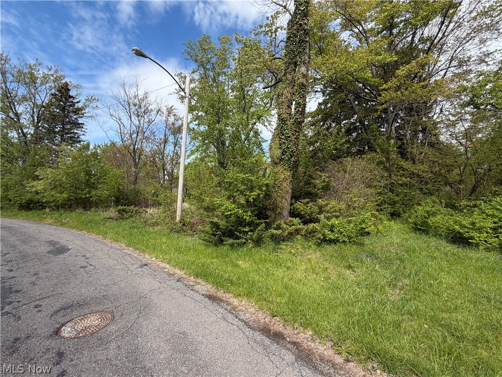 1445 Parkview Drive Madison OH 44057