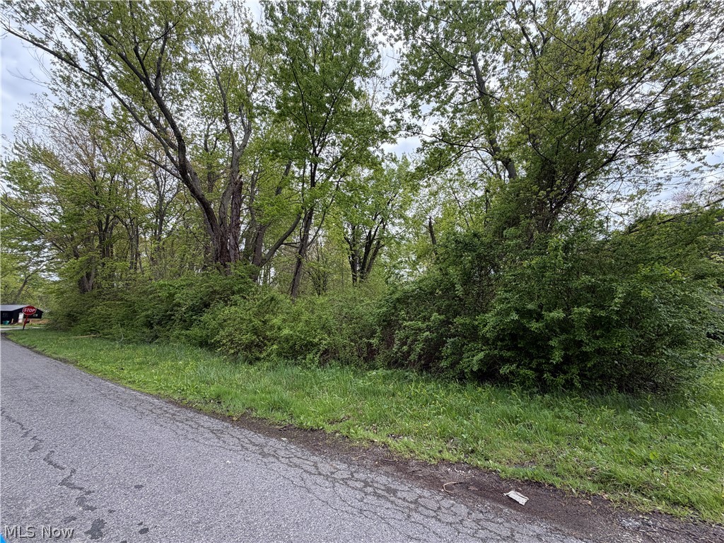 1445 Parkview Drive Madison OH 44057