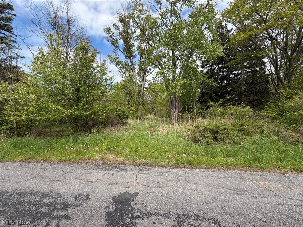 1445 Parkview Drive Madison OH 44057