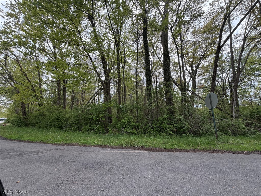 1445 Parkview Drive Madison OH 44057