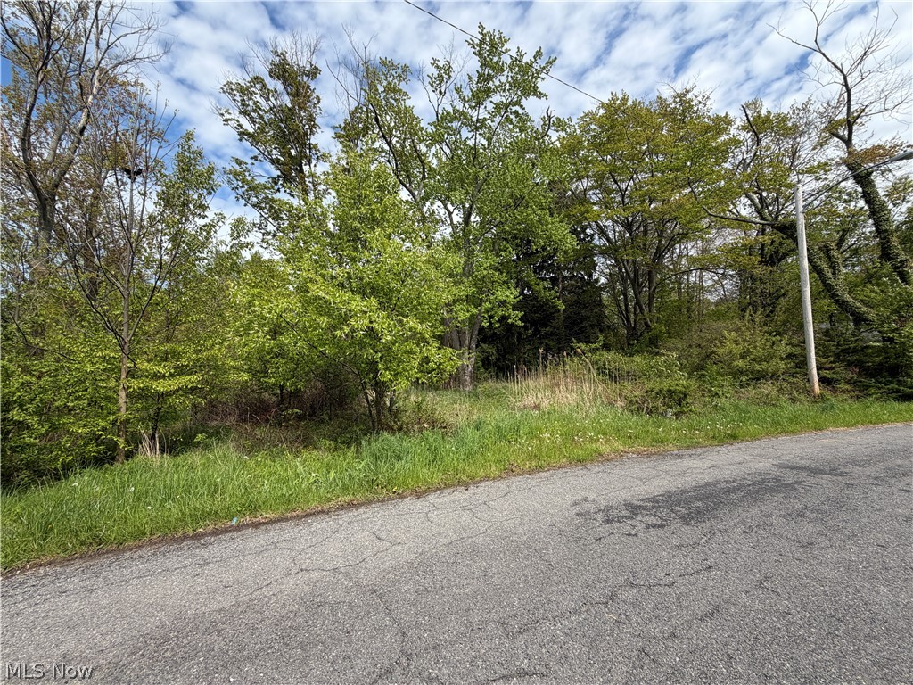 1445 Parkview Drive Madison OH 44057