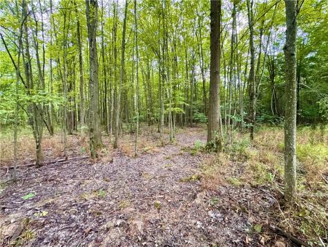 Oyster Road North Benton OH 44601