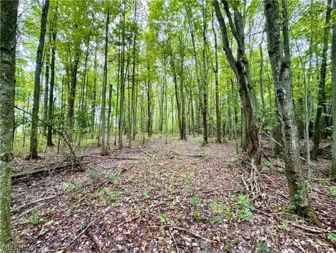 Oyster Road North Benton OH 44601