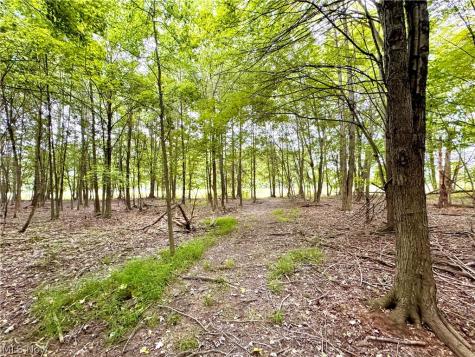 Oyster Road North Benton OH 44601